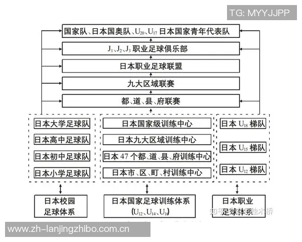 足球明星金字塔的崛起与影响力解析：从青训到职业生涯的全景探讨